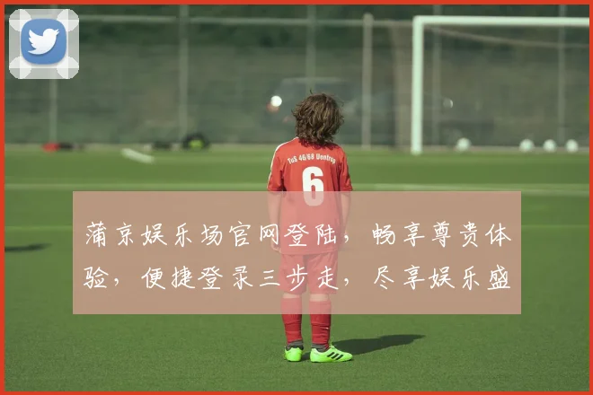 蒲京娱乐场官网登陆，畅享尊贵体验，便捷登录三步走，尽享娱乐盛宴，惊喜不断