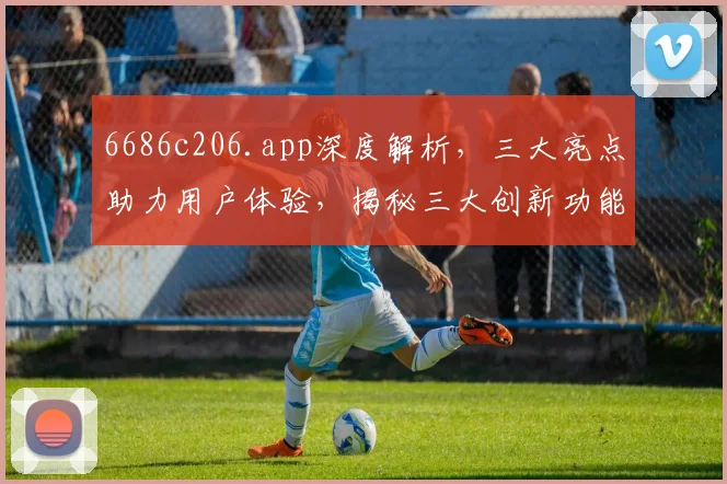 6686c206.app深度解析，三大亮点助力用户体验，揭秘三大创新功能